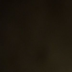 Meet your Posher, Earl